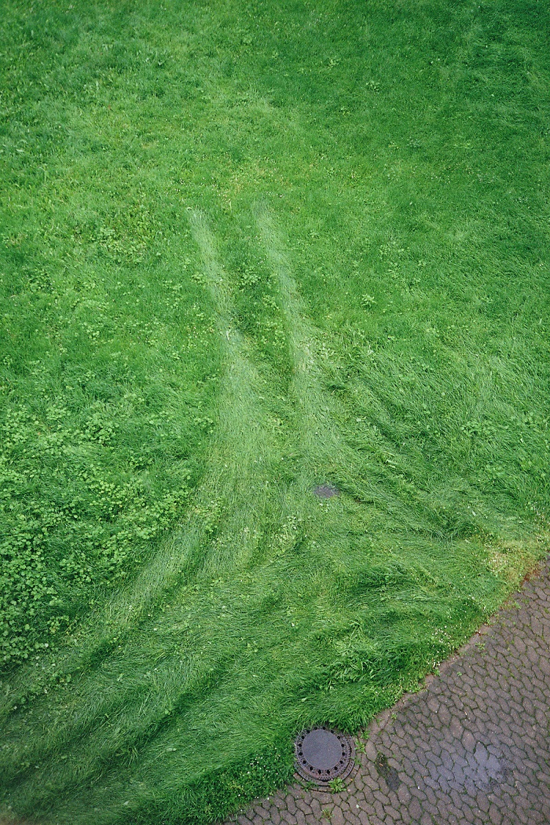 Grasfläche mit zwei parallelen, leicht gekrümmten Spuren, die zu einem Gullydeckel am Rand eines gepflasterten Wegs führen